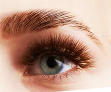 Bild mit einer Puder Permanent Makeup Augenbrauen Pigmentierung.