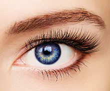 Bild mit einer Permanent Makeup - Augen-Wimpernkranz- Pigmentierung.